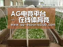 环境展示五