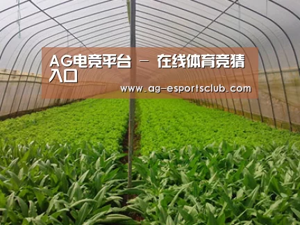 种植基地四