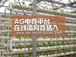 环境展示六