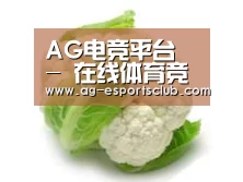 产品名称九