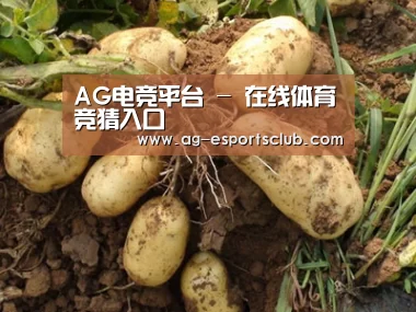 种植基地六