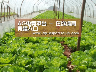 种植基地五
