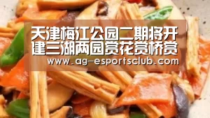 AG篮球