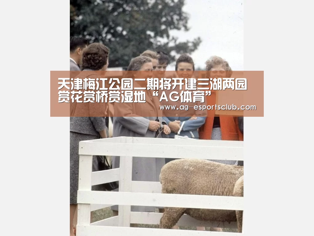 AG篮球