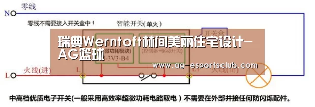 瑞典Werntoft林间美丽住宅设计-AG篮球(图1) AG体育