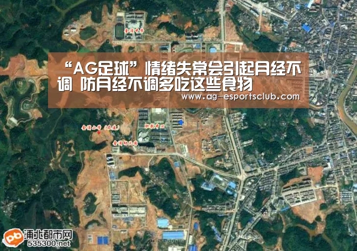 “AG足球”情绪失常会引起月经不调 防月经不调多吃这些食物(图2) AG篮球