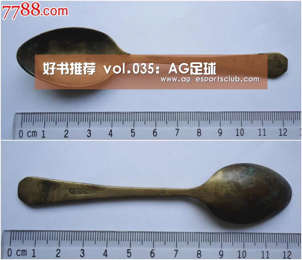 好书推荐 vol.035:AG足球(图3) AG篮球